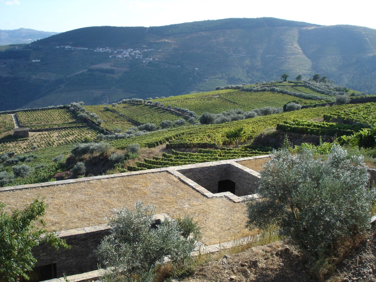 Susana Barros Vilela: "Um projeto tem de envelhecer bem"