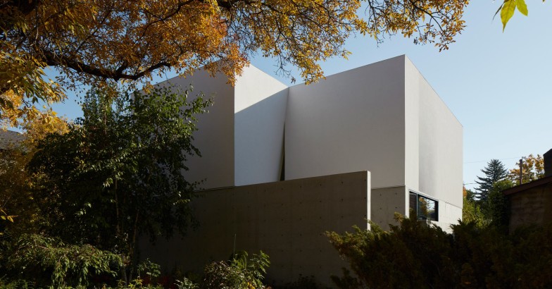 Esta casa hermética afinal é uma caixa de luz natural e jardins secretos